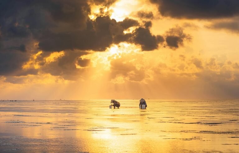 business intelligence data analysis