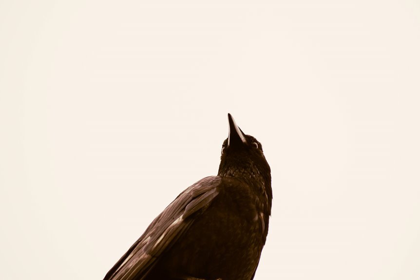 organisational intelligence impact assessment